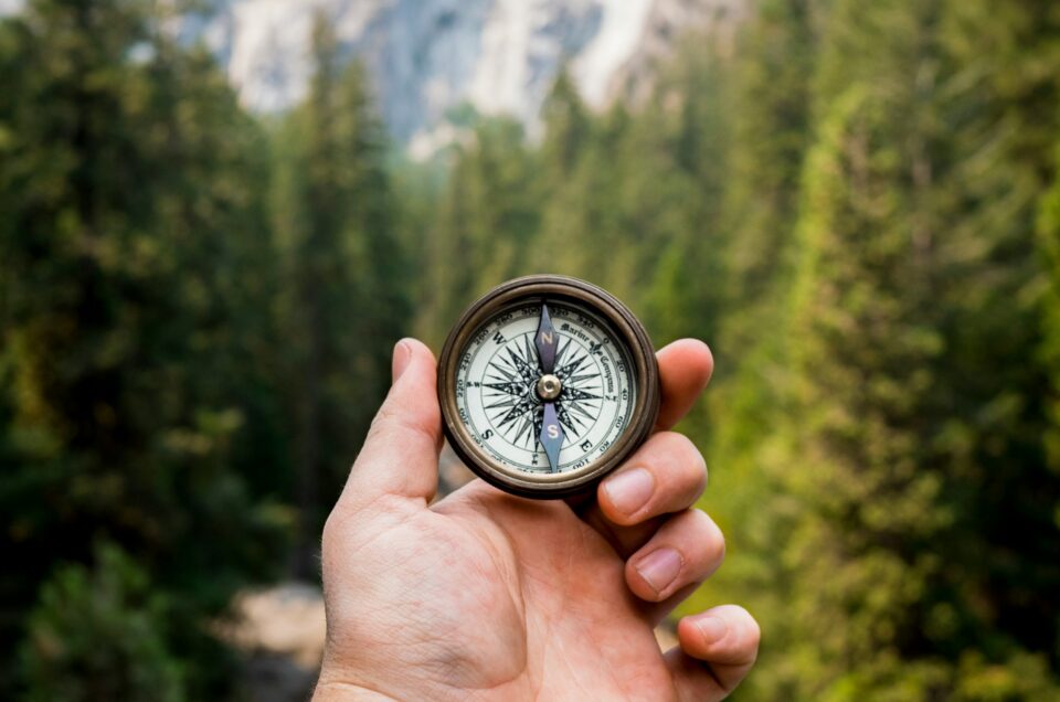 From Profit-Driven to Purpose-Driven